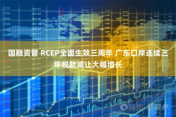 国融资管 RCEP全面生效三周年 广东口岸连续三年税款减让大幅增长