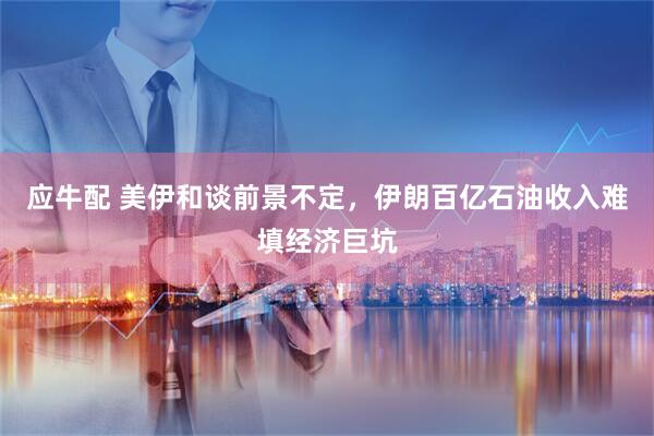 应牛配 美伊和谈前景不定，伊朗百亿石油收入难填经济巨坑